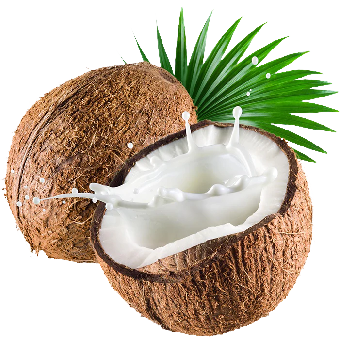 Coconut