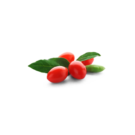 Goji Berry