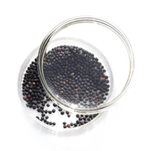 Natural Seed Extracts