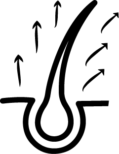 block.settings.icon-text2