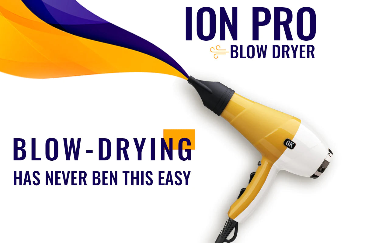 Ion Pro Blow Dryer