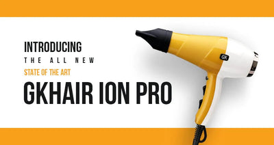 Ion Pro Blow Dryer