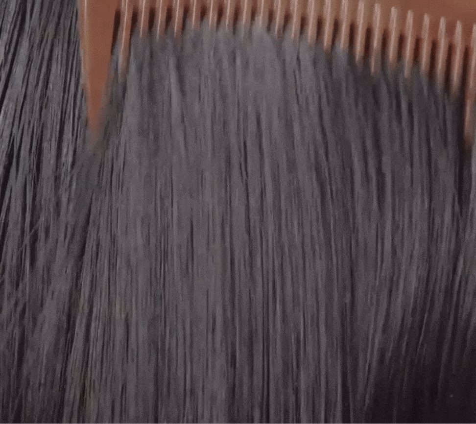hairtype3